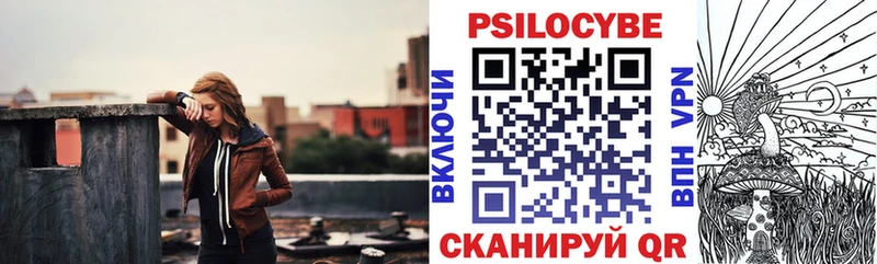 где найти   Сегежа  Псилоцибиновые грибы Psilocybine cubensis 