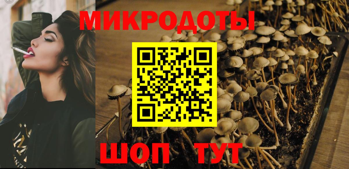 Псилоцибиновые грибы ЛСД Сегежа