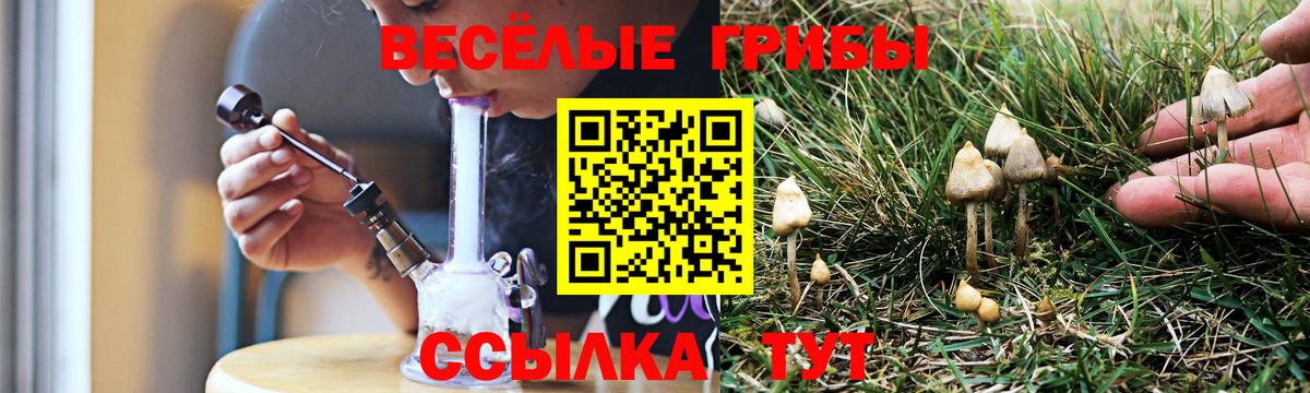 Галлюциногенные грибы мухоморы  Вход с VPN  Псилоцибиновые грибы Magic Shrooms  Сегежа 